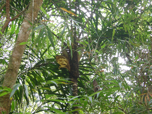 DSC00068