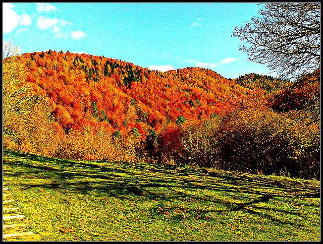 Otoño en la selva de Irati (Navarra)-11