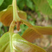 DSC00094