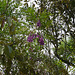 DSC00104