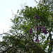 DSC00105