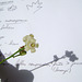 DSC00108