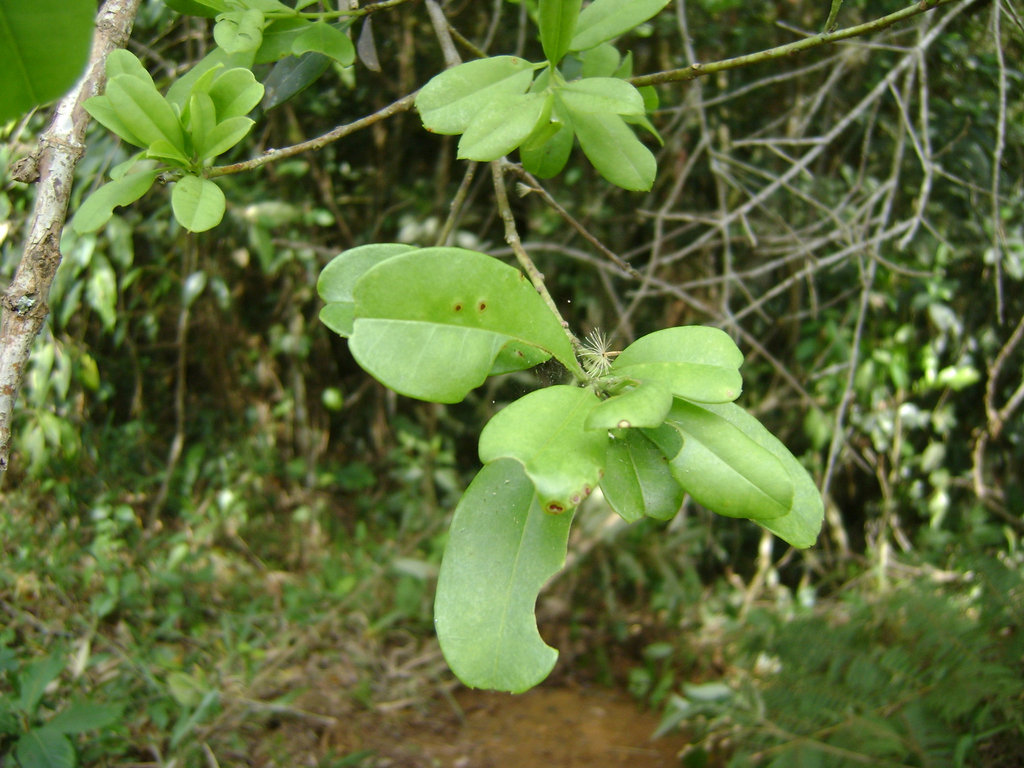 DSC00113