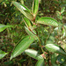 DSC00134