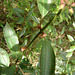 DSC00135