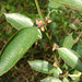 DSC00136