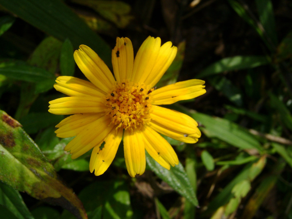 DSC08459