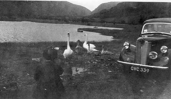 With my parents on a journey - feeding swans