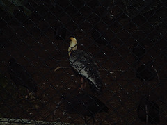 DSC01597