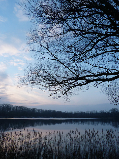 Die Farben des Winters