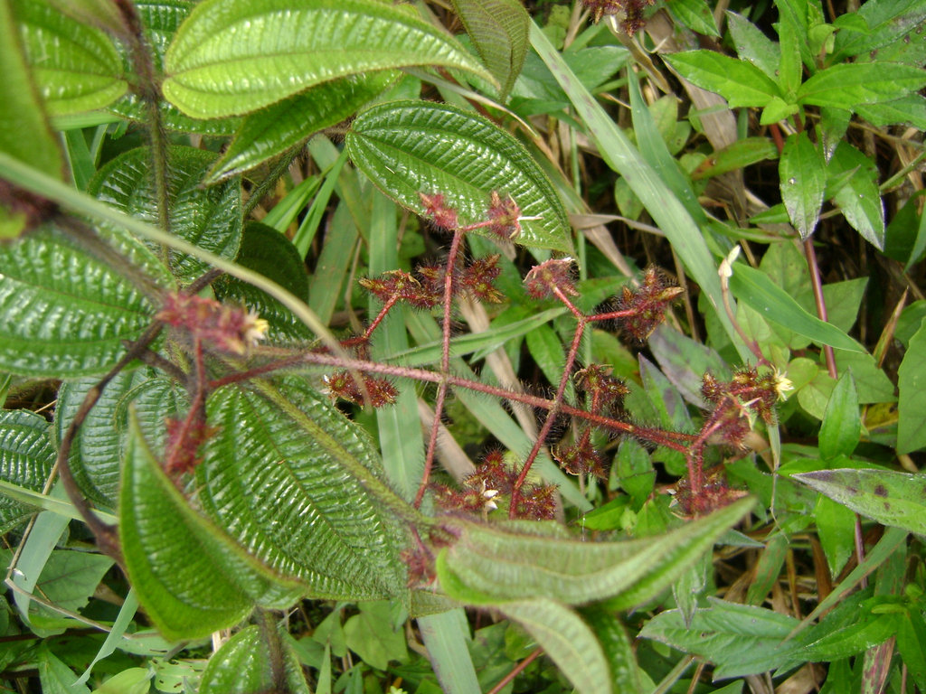 DSC08495