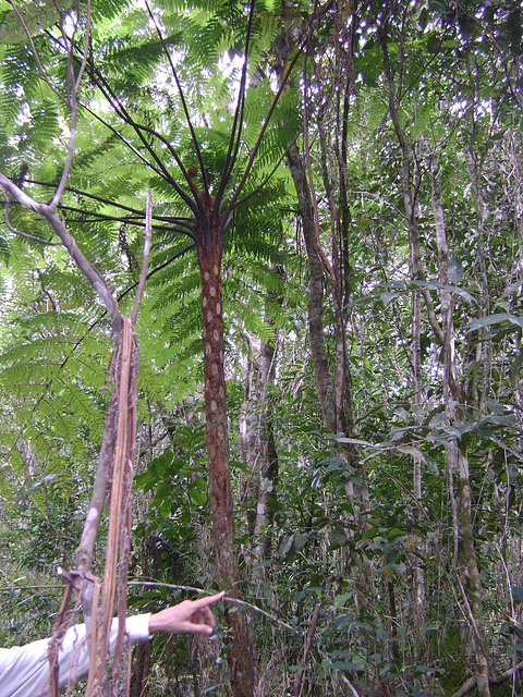 DSC00150