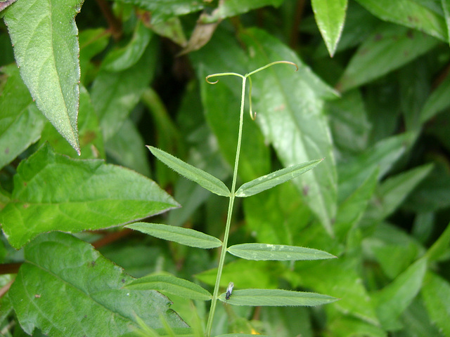 DSC08506