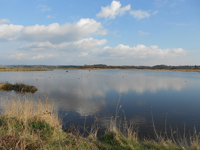 marais de PEN MANé.