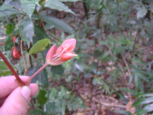 DSC00175