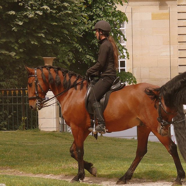 Devant les ecuries