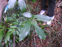 DSC00189