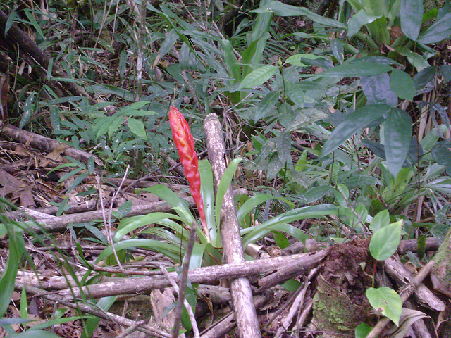 DSC00201