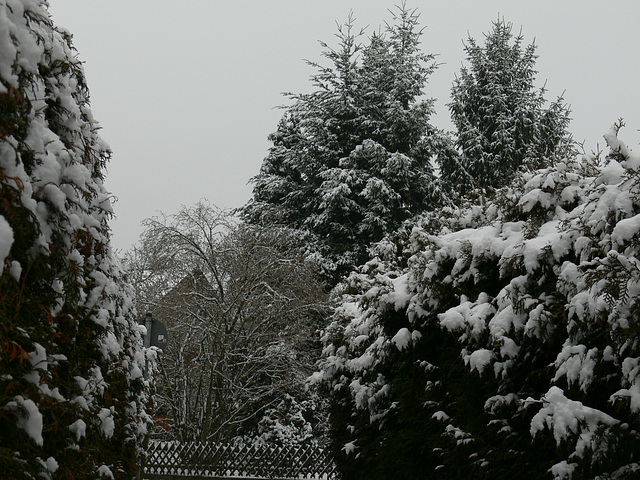 Schneetag