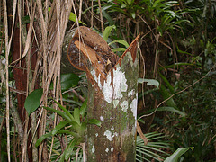 DSC00221