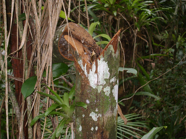 DSC00221