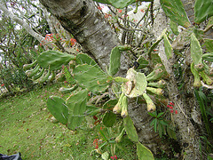 DSC08560