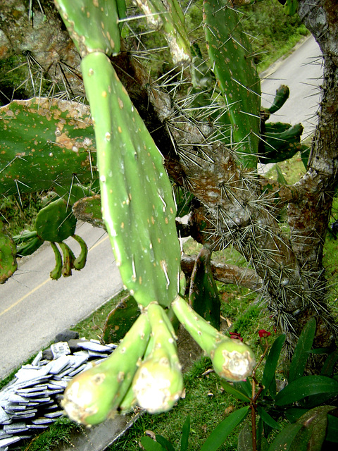 DSC08565