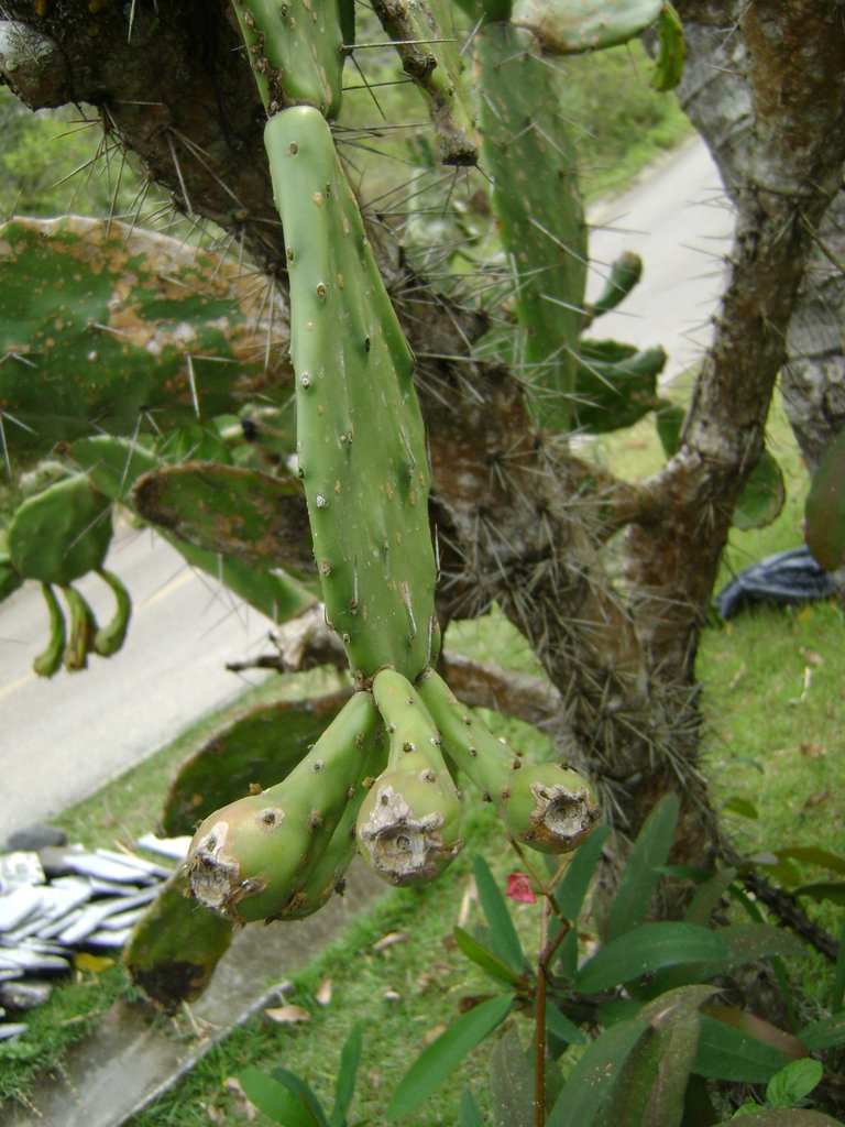 DSC08567