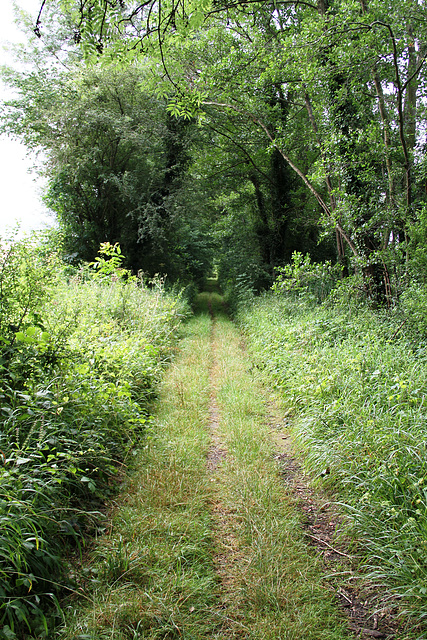 bord de l'Yonne