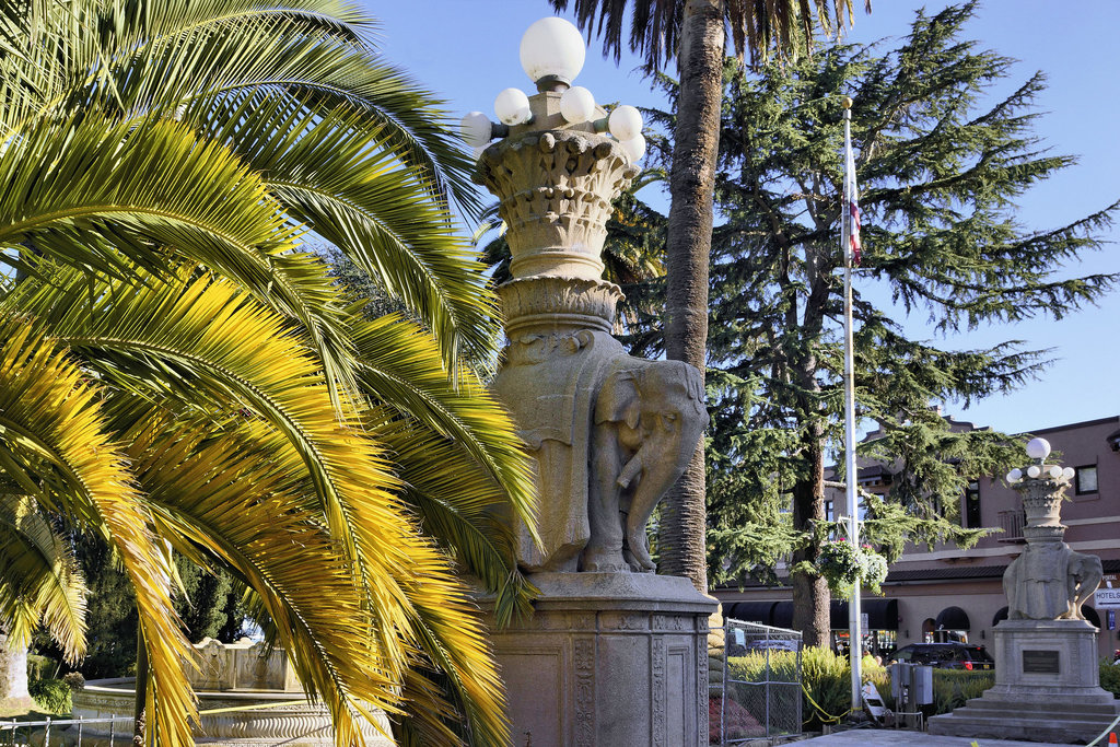 Jumbo and Pee-Wee – Viña del Mar Park, Sausalito, California