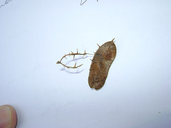 DSC08602