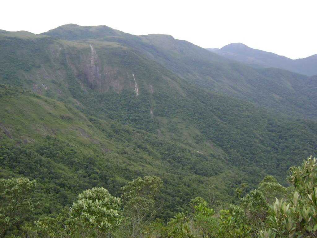 DSC00308