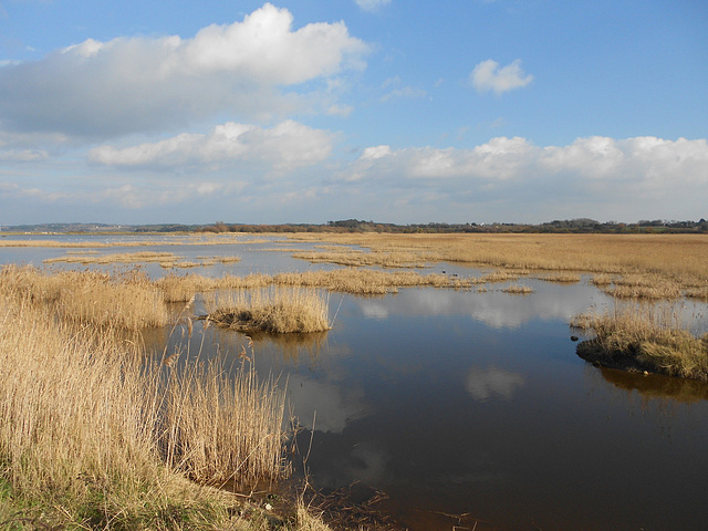 marais de PEN MANé