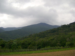 DSC00369