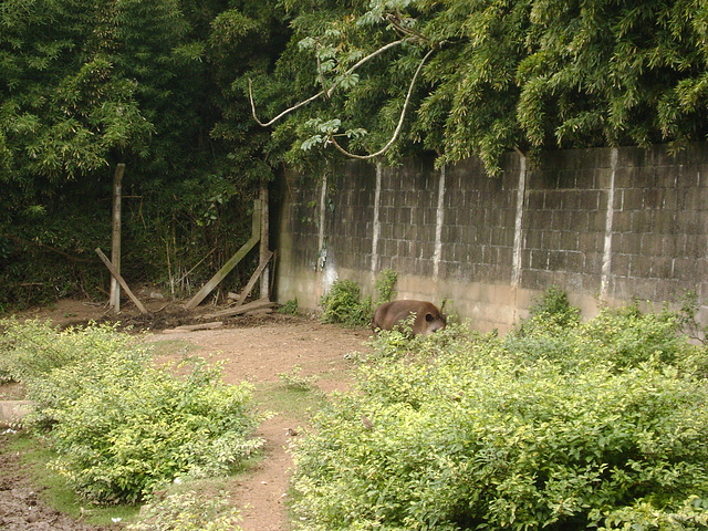 DSC04282