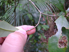 DSC00192