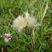 DSC08701