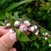 DSC08709