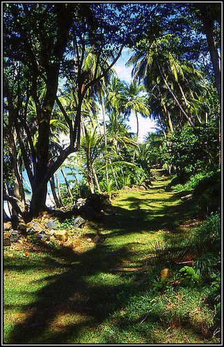 les iles du Salut (Guyane)