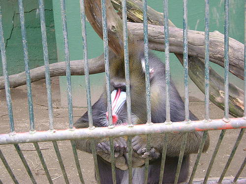 DSC04303