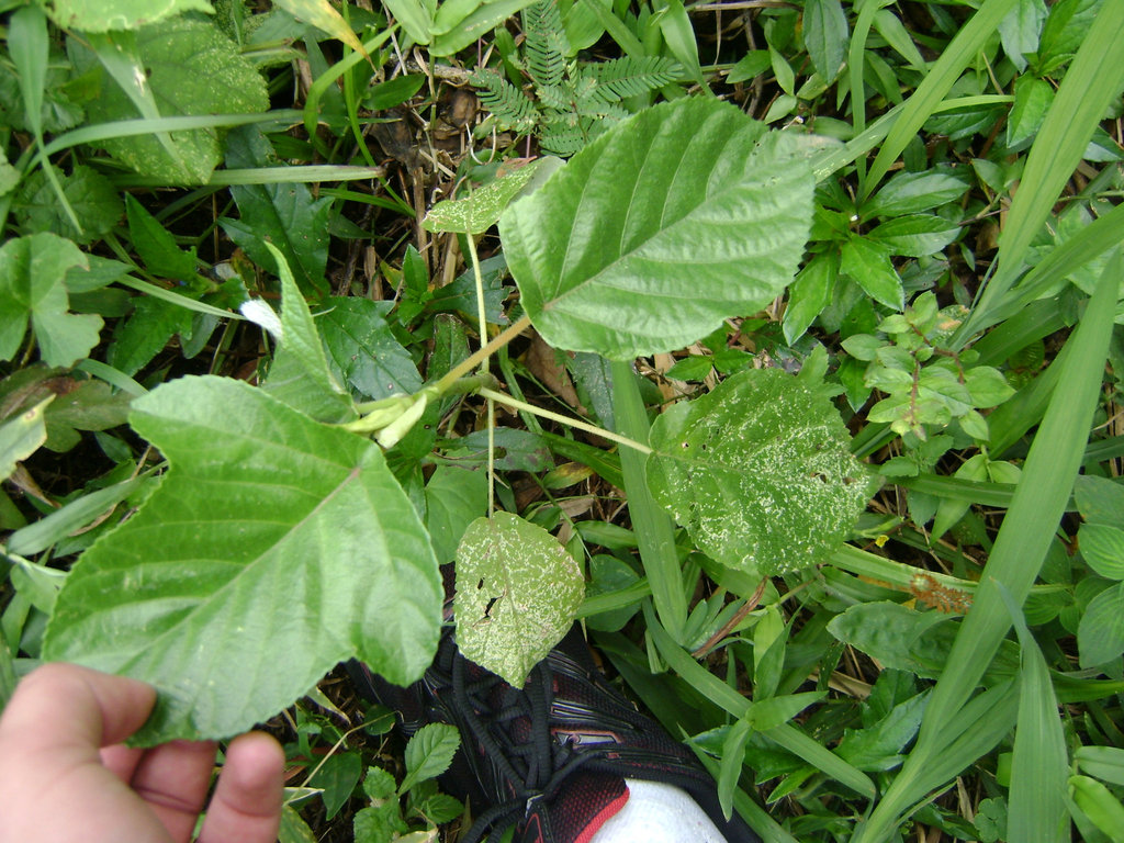 DSC08757