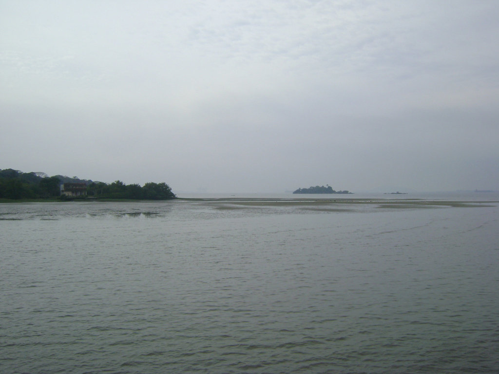 DSC08443