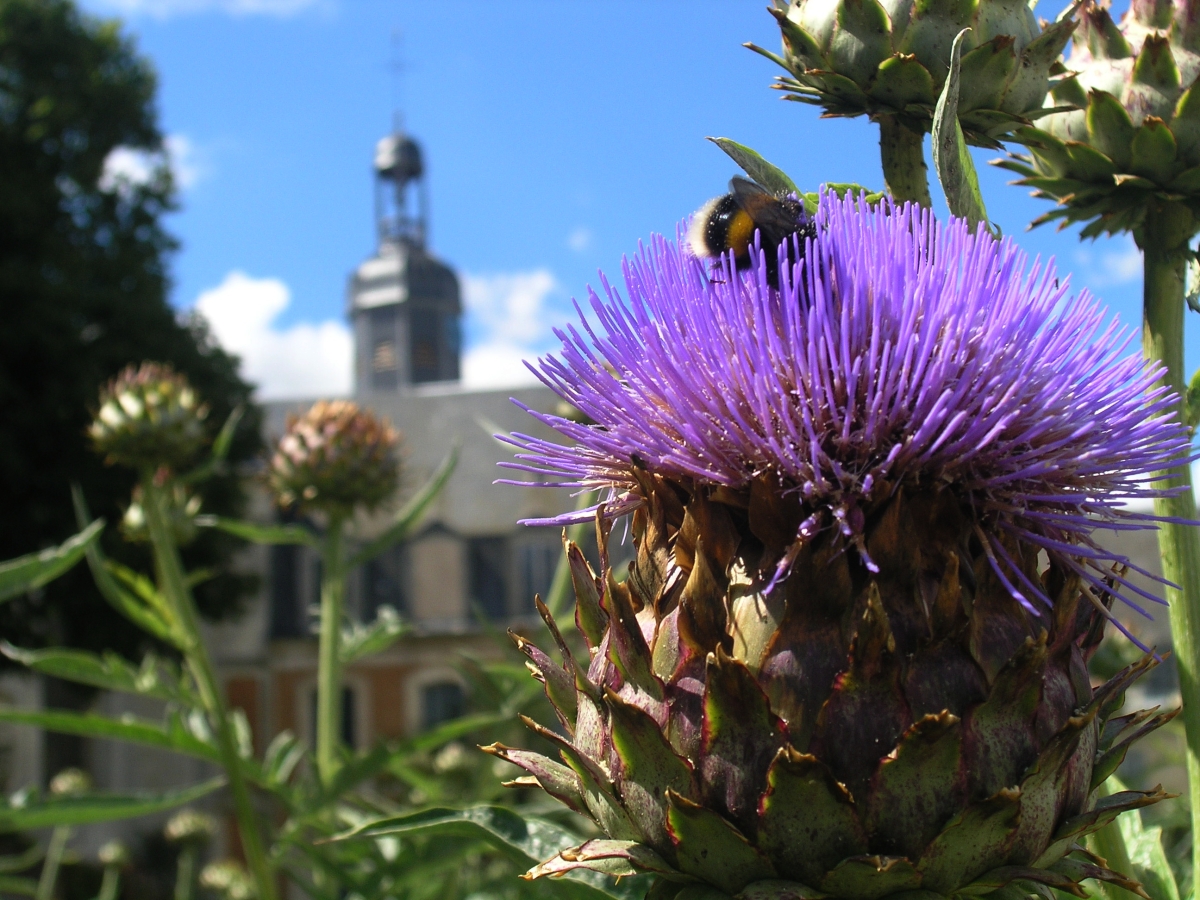 Dans le parc de l'abbaye de Valloires