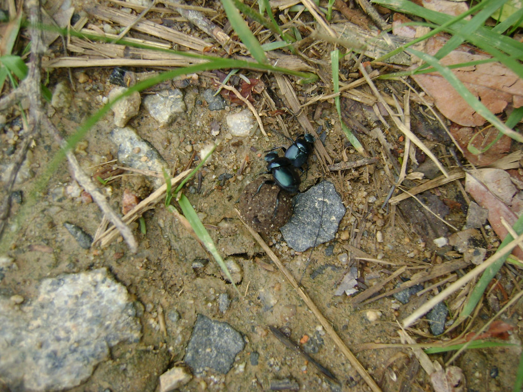 DSC08846