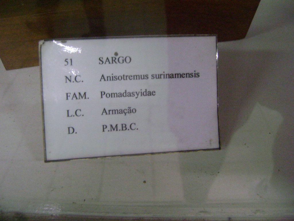DSC04585