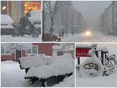 hoffentlich letzter Wintereinbruch