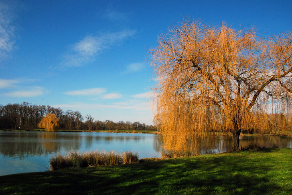 Du côté de Beaugency