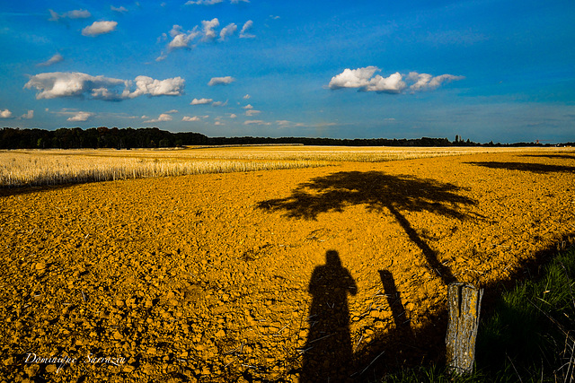 Jeu d'ombres