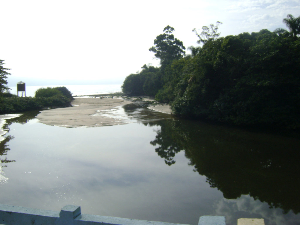 DSC08084