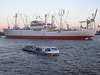 CAP SAN DIEGO in Fahrt